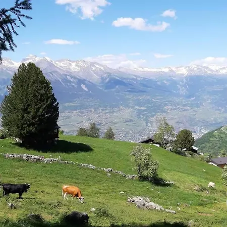 Comme Sur Un Nuage, Pour 4 Personnes